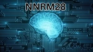 Understanding NNRM28