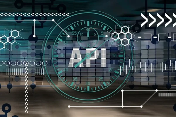 what is the primary purpose of an api in software development