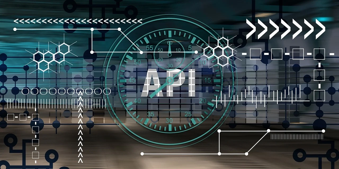 what is the primary purpose of an api in software development